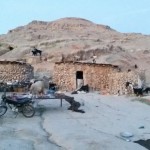حاج محمد شیخی زاده(خلیلی) ازعشایر: تب برفکی نابودمان کرد. ۲۹راس از دام هایم تلف شده است/ پرسوز(طاهری) از عشایر: ۳۱ راس از دامهایم تلف شدند. تلفات سنگین بوده و دارو ها هم بشدت گران است/محمدقلی پرریز از عشایر پای کوه در جواب به تکذیبیه رییس امور عشایر: آقای نوذری اول آب شرب برای ما بیاورد! بیش از ۶۰ دام من و همسایه ام آقای دادشاه تلف شد/محمد تقی رنودی و سلمان درویشی از عشایر آبشار رامهرمز ۳۰راس تلفات داشتیم/رضا رشیدی با بیشترین تلفات در کل شهرستان از روستای زهیری موسی:۶۰ گوسفند، یک گاومیش و دو گوساله از بنده تلف شده است/بیگدلی ساکن روستای راهدارها:بیماری تب برفکی ۱۵راس از دامهایم را تلف کرد/رئیسی دامدار دیگر روستای راهدارها: ۱۷ راس از دام هایم در این بیماری تلف شدند/ عبدل نریمیسیا ۸ دام از من تلف شده است